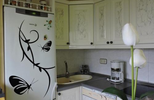 Van Dyck Apartment | Cozy apartment near the center (1-4 pp)
