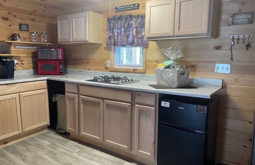 Lewis Cabin | Cozy cabin in brilliant Lewis with WiFi, AC