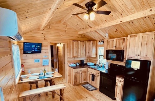 Hector Cabin | Cozy Cabin on Seneca Wine Trail Vineyard View 6