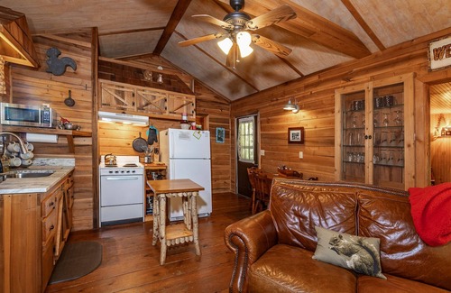 Lake Toxaway Cabin | Cozy Cabin w/Pickleball and Tennis On Site