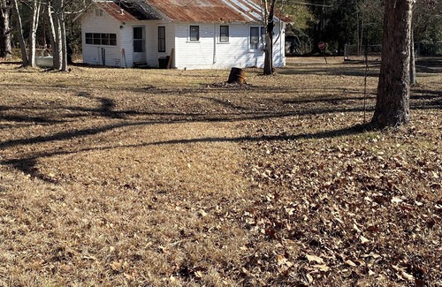 Zavalla Cottage | Cozy Cottage in Zavalla. Minutes to Lake Sam Rayburn near Cassel Boykins.