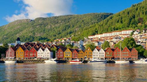 Engen Apartment | Cozy Gem in the Heart Of Bergen