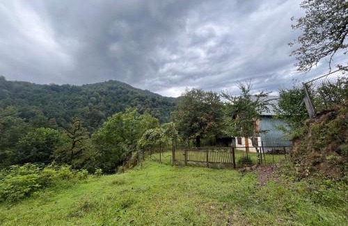 Khulo House | Cozy Guesthouse in Qvabgha, 5 min from Nabeghlavi