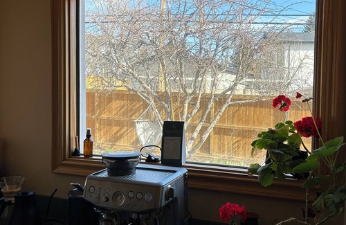 Northwest Calgary House | Cozy home in a quiet neighbourhood among old trees. 10 min drive to city centre.