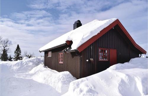 Oyer House | Cozy Home In Sjusjøen With Kitchen