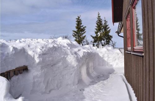 Oyer House | Cozy Home In Sjusjøen With Kitchen