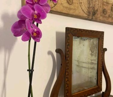 Vanchiglia Apartment | Cozy home in the city centre