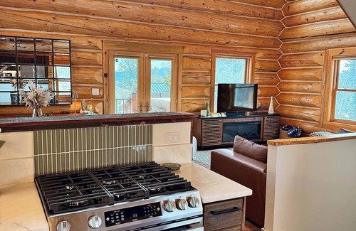 Stagetop Cabin | Cozy Modern Log Cabin - Hot Tub + Dog-run + Mtn View - Quick Escape from Denver