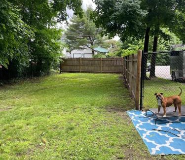 Concord Apartment | Cozy Place with Outdoor Space for Pets