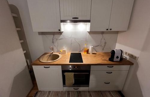 Voru Apartment | Cozy private apartment WiFi 1BR Sleeps 4 great Central Location
