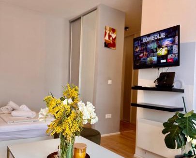 Lapad Apartment | Cozy studio with sunny terrace