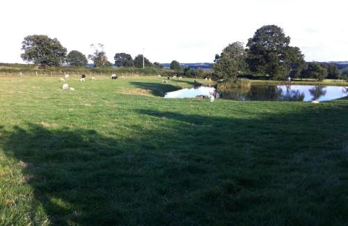 Crich Bed & Breakfast | Crich Lane Farm