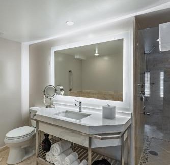 Lake Dot Hotel | Crowne Plaza Orlando-Downtown by IHG