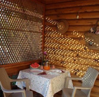 Mali Radic House | Crystal pool