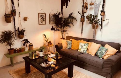 Tiagua Apartment | Cuarto Botánico Studio - Shared Pool - Central Island Location - 10 mins drive to Famara and La Santa
