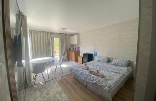 Karakol Apartment | D&N Karakol