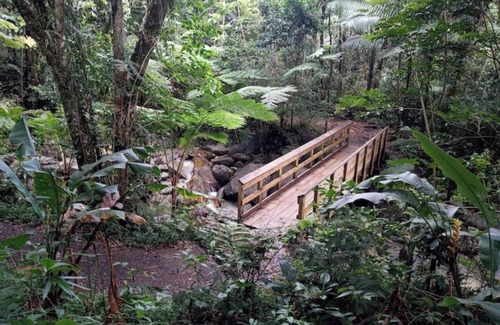 Mata de Platano Apartment | #D Tropical Rainforest Retreat Ocean View w/hottub