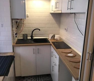 Brasov City Centre House | Da Vinci