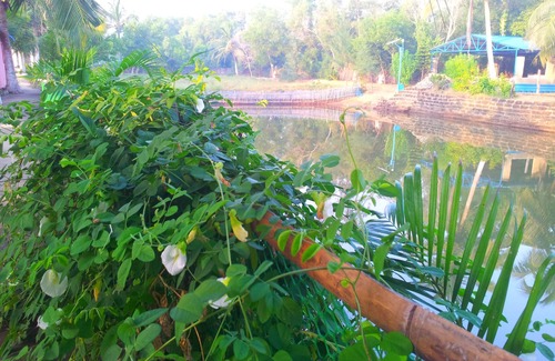 Satapada Apartment | Daaven's Island Resort