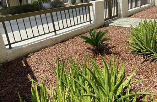 Paphos Apartment | Dalia 9 (1 Bedroom Apt)