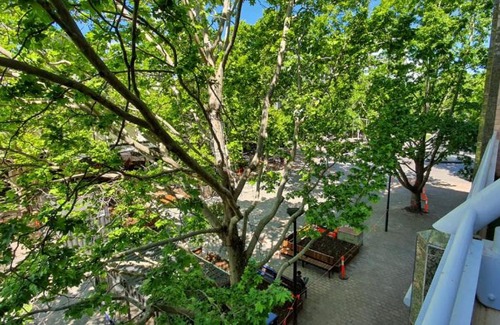 City East Apartment | Dana-Spacious Private Room in Shared 2-Bedroom Apartment-2
