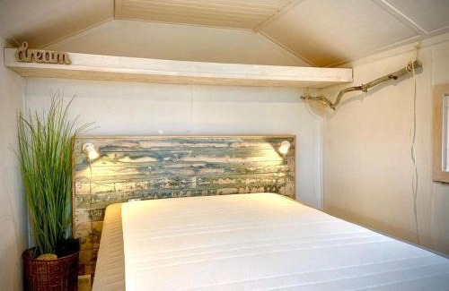 Argab Other | Dancamps Holmsland
