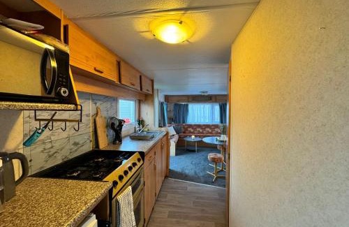 Clacton-on-Sea Resort | Dancing Seagulls Caravan