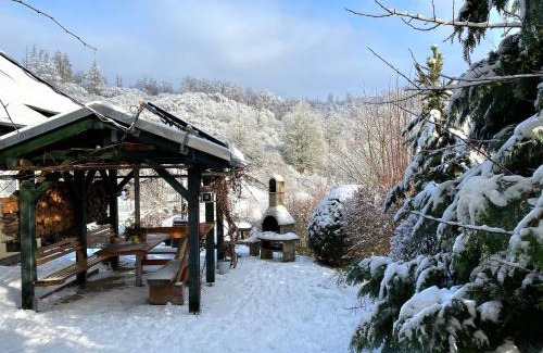 Oberharz am Brocken Apartment | Das grüne Haus am Hexenstieg