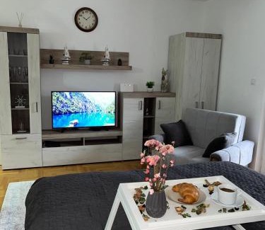 Sremska Mitrovica Apartment | Das Studio