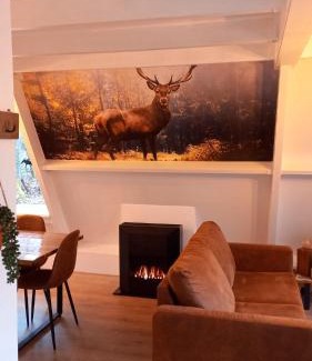 Bohon Ski Chalet | de bosdriehoek II