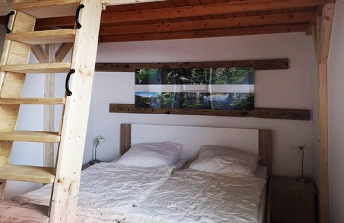 Falkenstein Apartment | FPF-28 - Holiday park in beautiful Falkenstein (3)