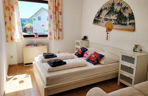 Schonach im Schwarzwald Apartment | Deck-Apartment next to the forest