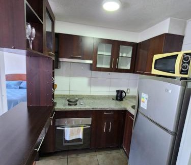 Downtown Santiago Apartment | Departamento19