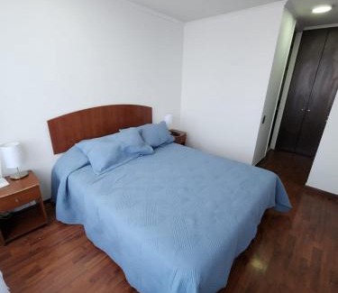 Downtown Santiago Apartment | Departamento19
