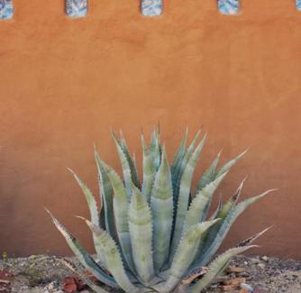 Study Butte-Terlingua House | Desert Pearl — Quick Drive from Big Bend
