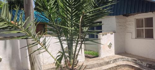 Diani Beach Bed & Breakfast | Diani Peaceful Garden
