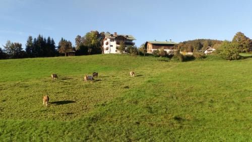 Bischofswiesen House | Die schlafende Goass