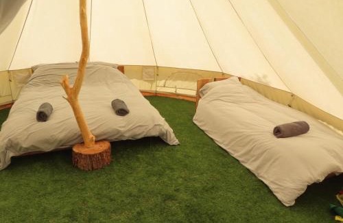 Machynlleth Other | Dingly Dell 3 x bell tents