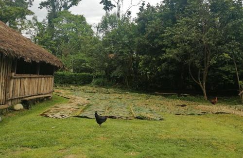 Telire Bed & Breakfast | Ditsokata Ú