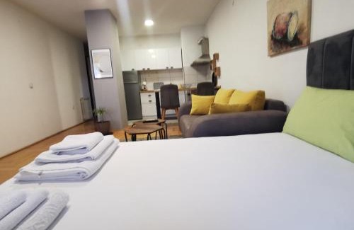 Kisela Voda Apartment | DJS-Modern Studios