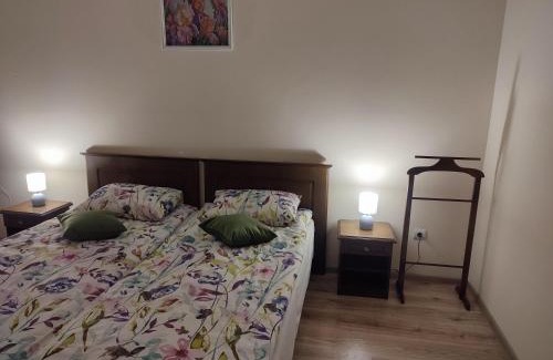 Mukachevo Apartment | DOBA - Центр 2 кім 2 міс
