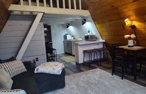 Sherwood Forest House | Dog Friendly A-Frame in the Berkshires! Walk to lake with beach access!