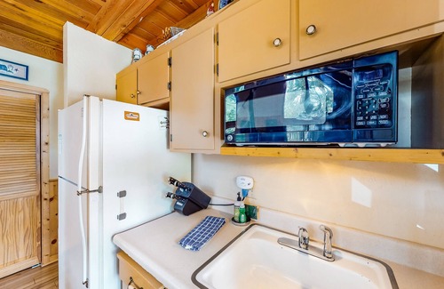 Dorrington House | Dog-friendly Big Trees Village cabin w/deck, gas fireplace, & private W/D
