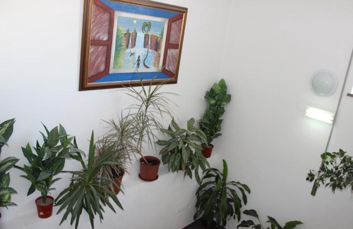 Sao Clemente House | Dom Fernando I