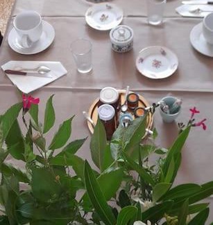 Lagnes Bed & Breakfast | Domaine Les Peupliers. Chambre Manon