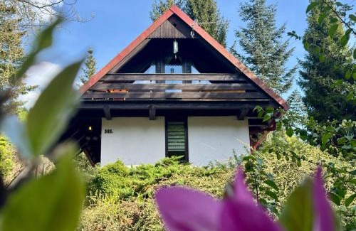 Tresna House | Domek "Biała oaza"