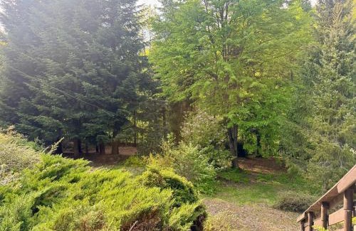 Tresna House | Domek "Biała oaza"