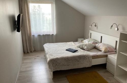 Alytus county Villa | Domo Vila