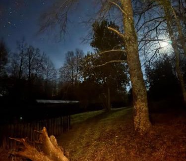 Pucon Cabin | Domos Elohim