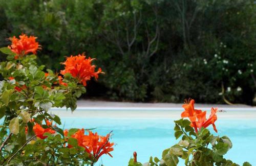 Castiadas House | Domus Sol Aria 2